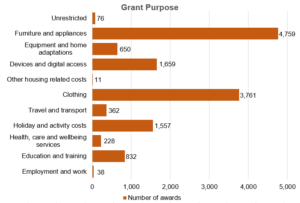 A bar chart of Buttle UK's grants showing the number of awards by grant purpose